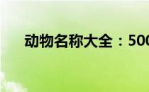 动物名称大全：500种神奇生物的世界