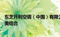 东芝开利空调（中国）有限公司：创新科技与卓越品质的完美结合