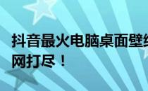 抖音最火电脑桌面壁纸精选，热门流行趋势一网打尽！