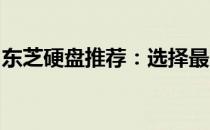 东芝硬盘推荐：选择最适合你的存储解决方案
