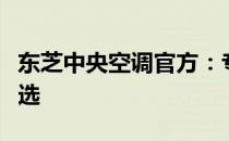 东芝中央空调官方：专业品质，舒适生活的首选