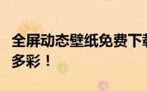 全屏动态壁纸免费下载，让你的屏幕更加生动多彩！