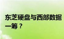 东芝硬盘与西部数据：哪个存储解决方案更胜一筹？