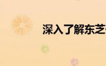 深入了解东芝硬盘型号含义