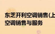 东芝开利空调销售(上海)有限公司官网 - 专注空调销售与服务