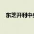 东芝开利中央空调：高效冷暖，舒适体验