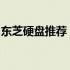 东芝硬盘推荐：选择最适合你的存储解决方案