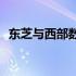东芝与西部数据移动硬盘对比：哪个更优？