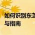 如何识别东芝官网的真伪：最实用的验证方法与指南