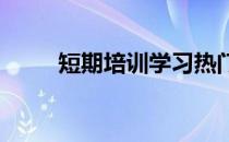 短期培训学习热门技能的深度解析