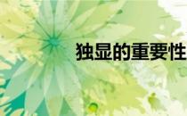 独显的重要性及其作用解析