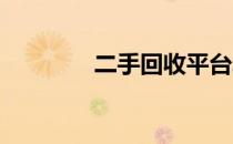 二手回收平台发展战略规划