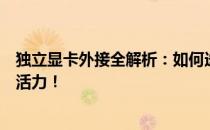 独立显卡外接全解析：如何选择和配置，让你的电脑焕发新活力！