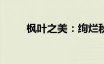 枫叶之美：绚烂秋色中的独特风采