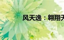风天逸：翱翔天际的传奇人生