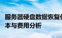 服务器硬盘数据恢复价格大揭秘：专业恢复成本与费用分析