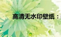高清无水印壁纸：打造纯净视觉体验