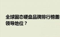 全球固态硬盘品牌排行榜盖得排行TOP 10：谁占据了市场领导地位？