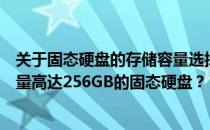 关于固态硬盘的存储容量选择：为什么推荐考虑购买一款容量高达256GB的固态硬盘？