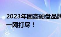 2023年固态硬盘品牌排名TOP榜，选购指南一网打尽！