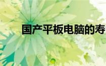 国产平板电脑的寿命与性能表现解析