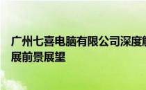 广州七喜电脑有限公司深度解析：公司概况、业务表现及发展前景展望