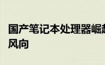 国产笔记本处理器崛起，技术革新引领行业新风向