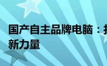 国产自主品牌电脑：打破垄断，展现中国智造新力量