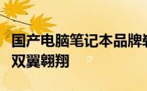 国产电脑笔记本品牌崭露头角：创新与品质的双翼翱翔