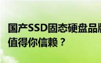 国产SSD固态硬盘品牌优选指南：哪个牌子更值得你信赖？