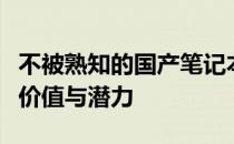 不被熟知的国产笔记本电脑：深度探索隐藏的价值与潜力