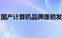国产计算机品牌蓬勃发展，展示自主创新实力