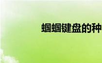 蝈蝈键盘的种类及特点详解
