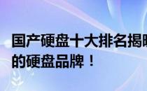 国产硬盘十大排名揭晓：揭秘最受消费者喜爱的硬盘品牌！