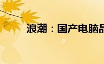 浪潮：国产电脑品牌的崛起与挑战