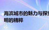 海滨城市的魅力与探索：从繁荣港口到海洋文明的精粹