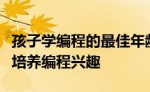 孩子学编程的最佳年龄：何时开始学习与如何培养编程兴趣