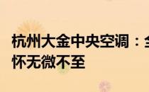 杭州大金中央空调：全天候服务热线，细致关怀无微不至