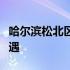 哈尔滨松北区的发展蓝图：探寻未来潜力与机遇