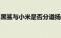 黑鲨与小米是否分道扬镳？揭秘二者关系现状