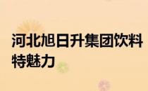 河北旭日升集团饮料：探索品牌之路，展现独特魅力