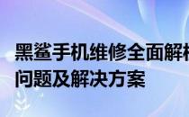 黑鲨手机维修全面解析：专业维修流程、常见问题及解决方案