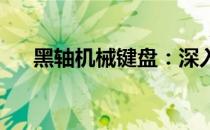 黑轴机械键盘：深入了解其优势与应用