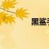 黑鲨手机电池校正代码详解