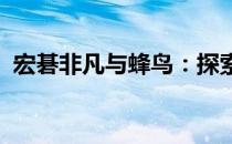 宏碁非凡与蜂鸟：探索轻薄便携的极致体验