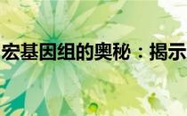 宏基因组的奥秘：揭示生命无限的基因多样性