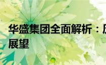 华盛集团全面解析：历程、业务、成就与未来展望