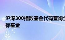沪深300指数基金代码查询全攻略：一览表助你轻松锁定目标基金