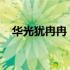 华光犹冉冉：探索光芒流转的奥秘与魅力