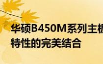华硕B450M系列主板配置深度解析：性能与特性的完美结合
